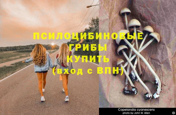 ГАЛЛЮЦИНОГЕННЫЕ ГРИБЫ Балабаново
