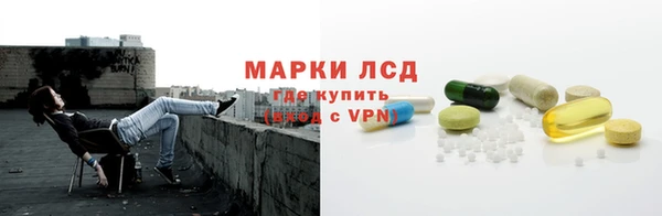 ГАЛЛЮЦИНОГЕННЫЕ ГРИБЫ Балабаново