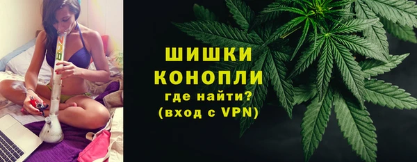 ГАЛЛЮЦИНОГЕННЫЕ ГРИБЫ Балабаново