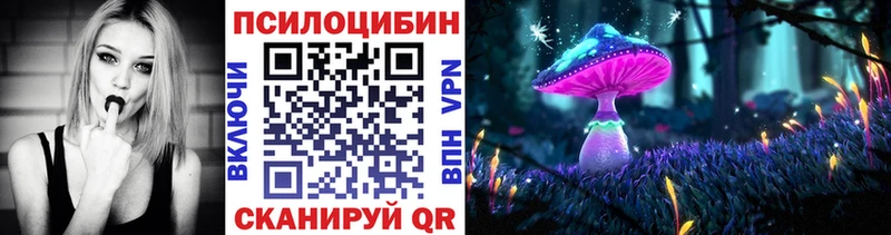 Галлюциногенные грибы Magic Shrooms  магазин продажи   Закаменск 